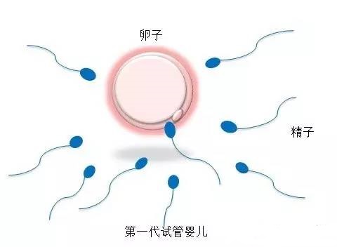 苏主任医师